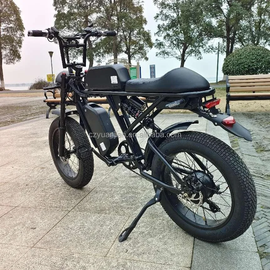 Brand New China Oem Ebike Double Battery 40km/h Speed 20inch 250w350w500w1000w 7speed Fold Dual Motor Electric Mountain Bike