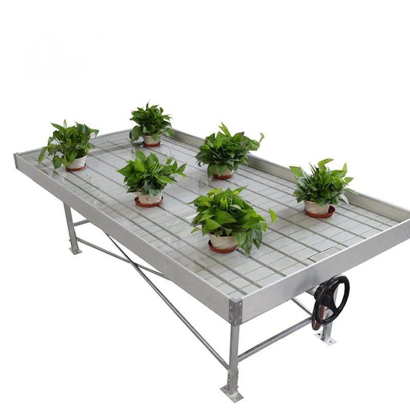 Indoor ebb and flow tables rolling bench aquaponics growing systems for greenhouse
