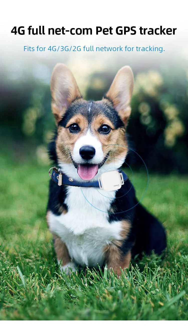 Xexun Free GPS management App Platform High precision Pet Gps Tracker GPS Tracking Device for Dog Cat Pet