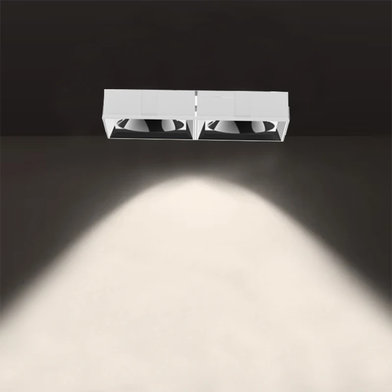 Modern Design Double-Head Dimmable LED Recessed Spotlight Waterproof IP65 Downlight Indoor Lighting DALI Protocol Hotel Office