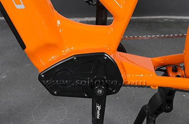 SOBOWO Two-wheel drive 26 inch 750W 48V/20AH flexible electric motorcycle Cargo long range ebike carrying goods electric bike