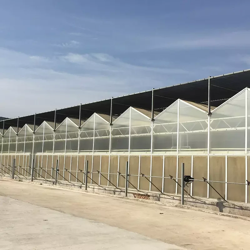 FM hot-dip galvanized steel structure glass agricultural green house net equipment used greenhouse cooling system for sale