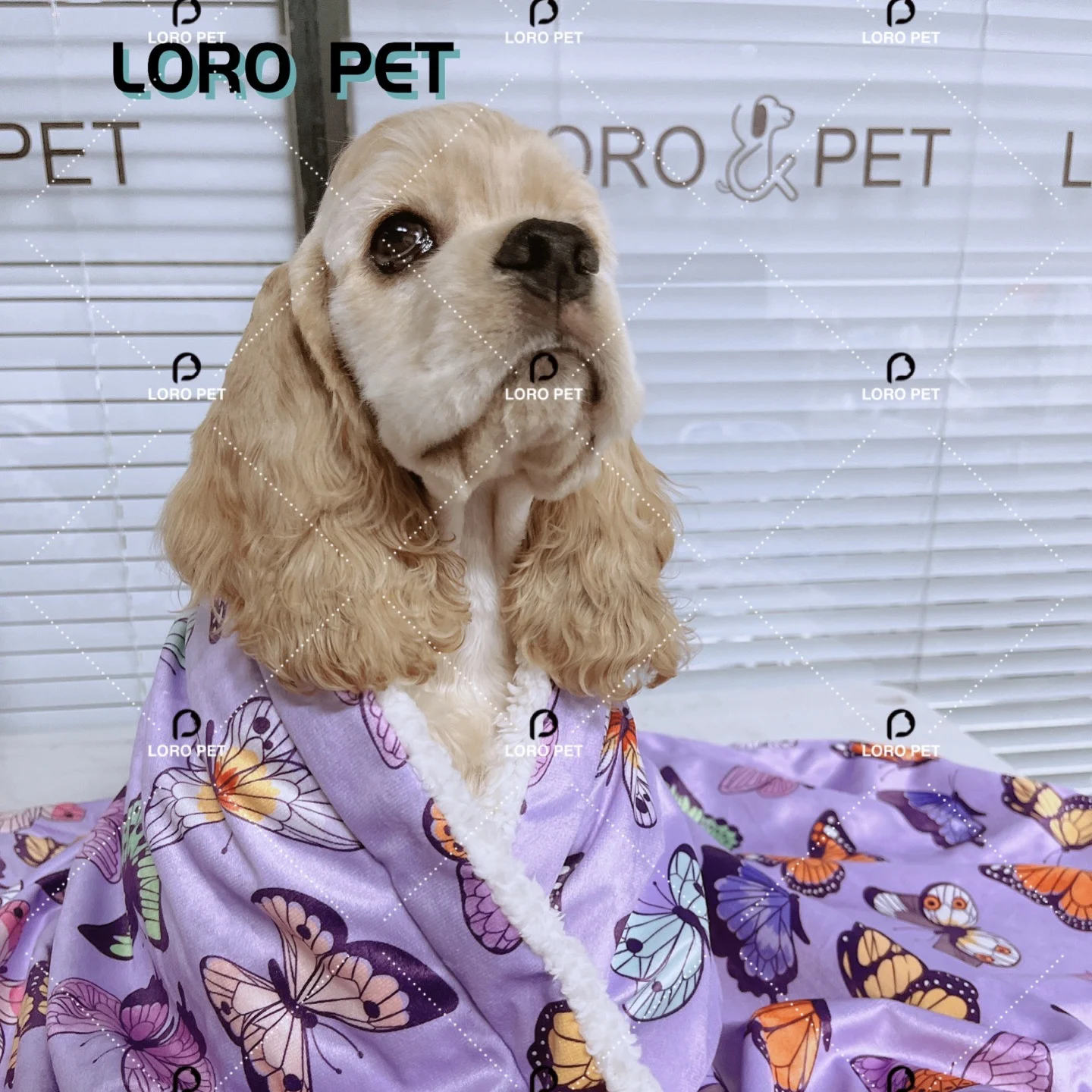 Hot Selling Washable Comfortable Soft Blanket Dogs Pet Bed Accessories printed pattern blanket custom design