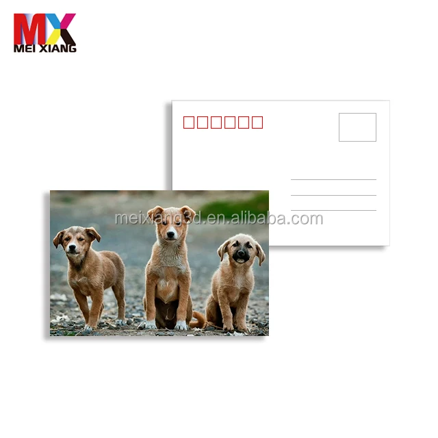 souvenir customize lenticular 3d 5d postcard with lovely animal