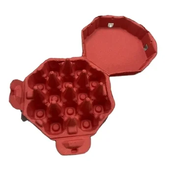 Customizable colorBiodegradable Egg Tray Carton Surcane Bagasse Pulp Egg Storage Box Family Use Paper Packaging Custom Egg Tray