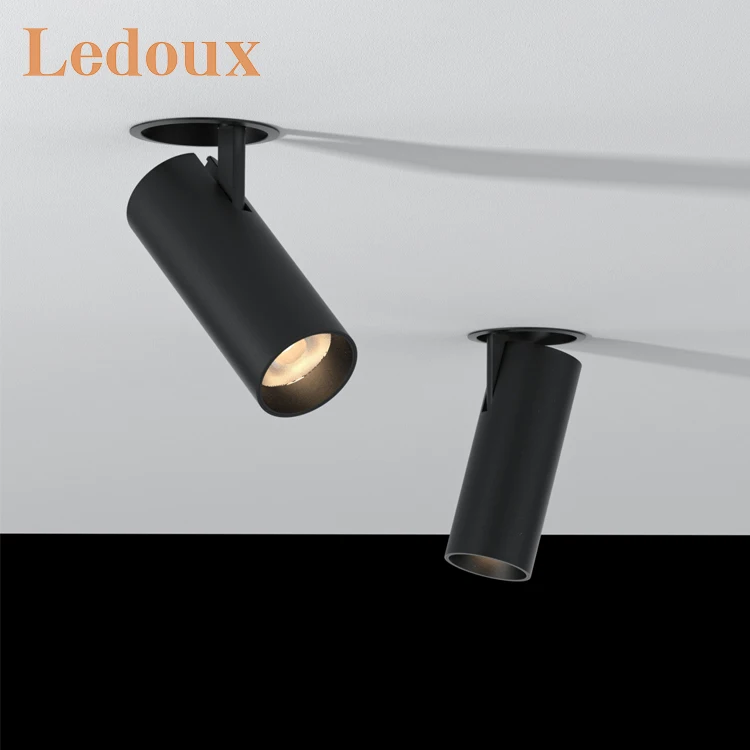 LEDOUX Focus Rail Light Adjustable Dimmable Spotlight Home Art Gallery 10W 15W LED Track Light