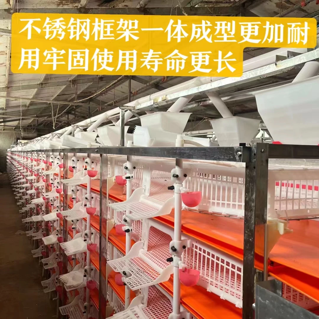 Agricultural equipment 6-layer quail cage animal cage stainless steel frame plus plastic
