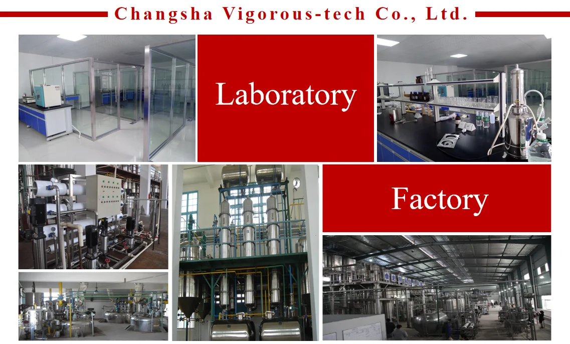 Factory food grade bulk  high quality soybean extract 95% soy lecithin powder for health