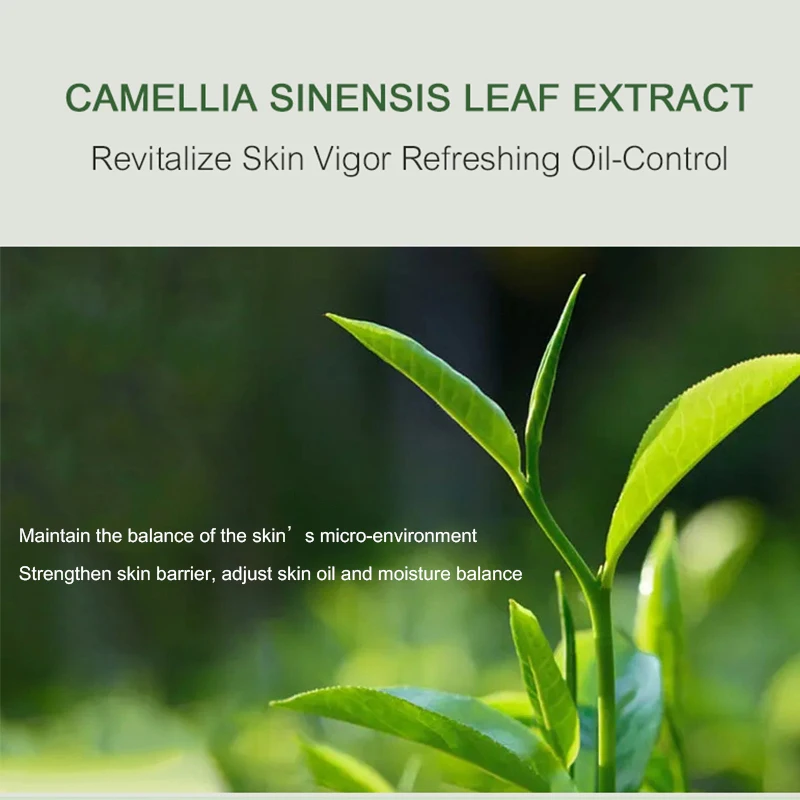 Private Label Natural Moisturizing Camellia Sinensis Leaf Extract SkinCare Hydrating nourishing Cream Carnosine Skin Care Set