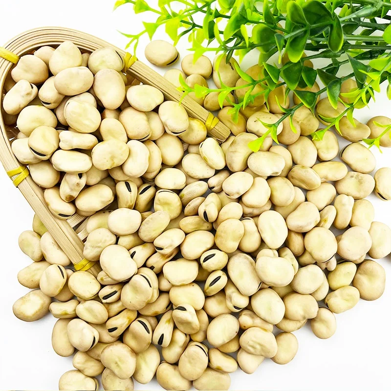 Chinese high quality dry beans fava beans price dry  faba beans price