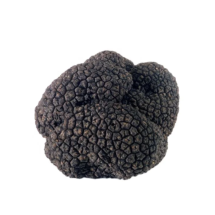 
Superior Best Quality Fresh Wild Black Truffle With Cheap Price Whole Part Truffle From Yunnan 