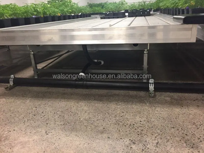 Professional Indoor Hydroponic System Ebb And Flow Grow table