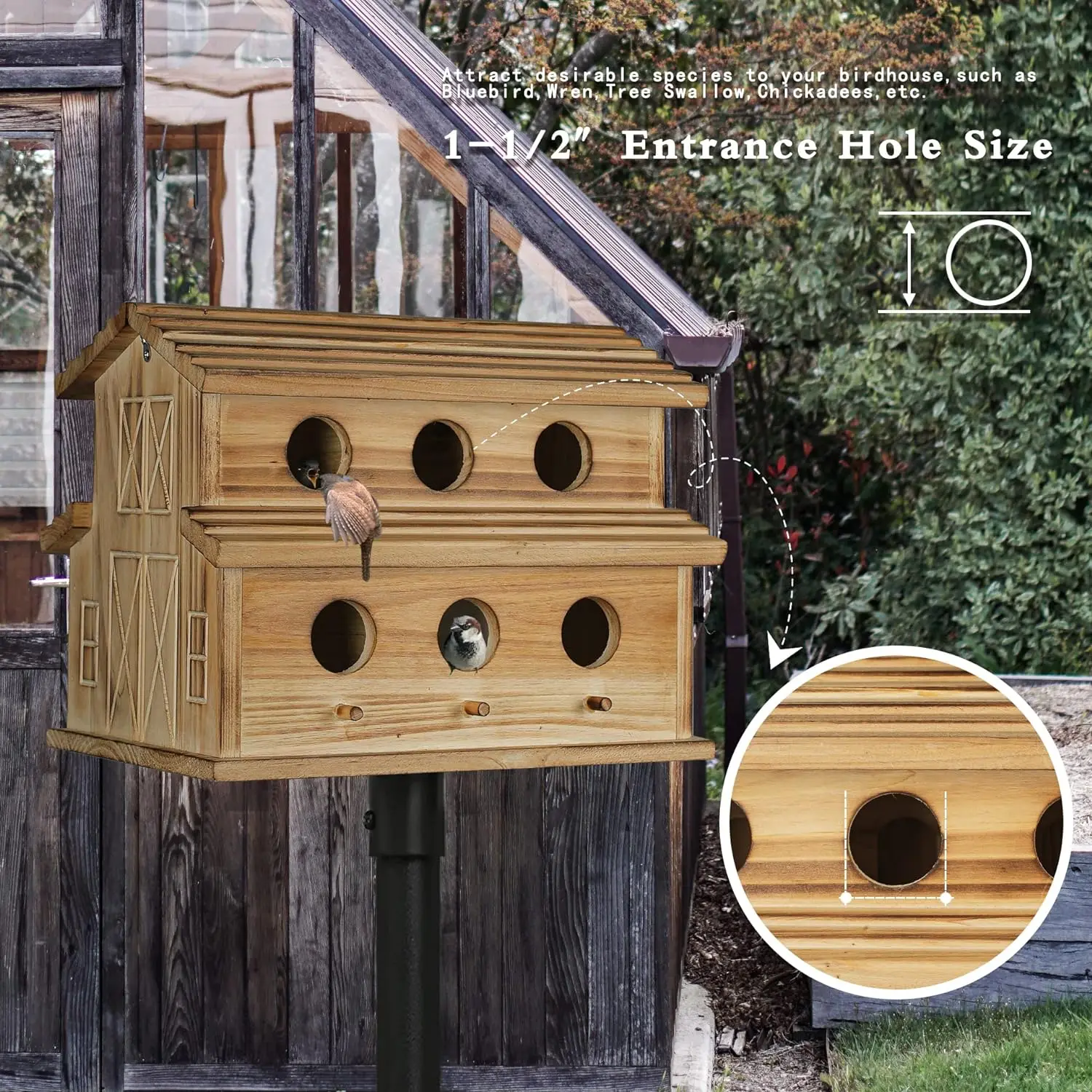 Outdoor aviary, 6-Hole Outdoor aviary - Rooms suitable for 6 bird families - Bluebirds, finches, Cardinals hanging aviaries