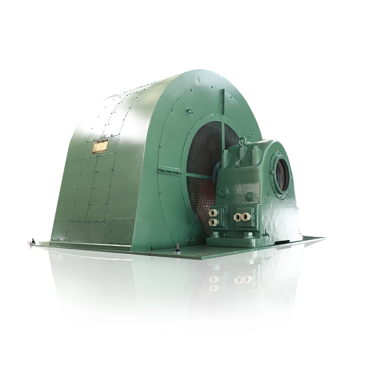 Micro Hydro Water Turbine Hydraulic Electric Generator for Power Plant