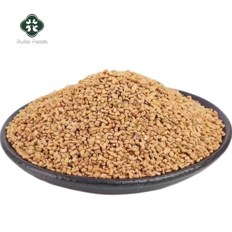 New crop hulubazi fenugreek seeds single spices Chinese herbs dried fenugreek seeds