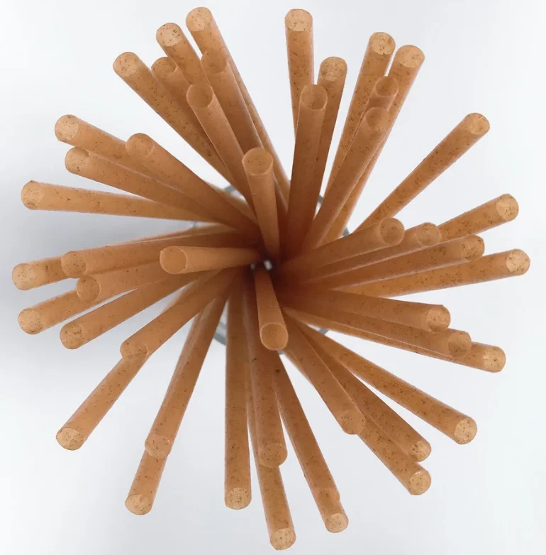 Natural 100% biodegradable sugarcane bagasse straws eco-friendly PLA drinking straw