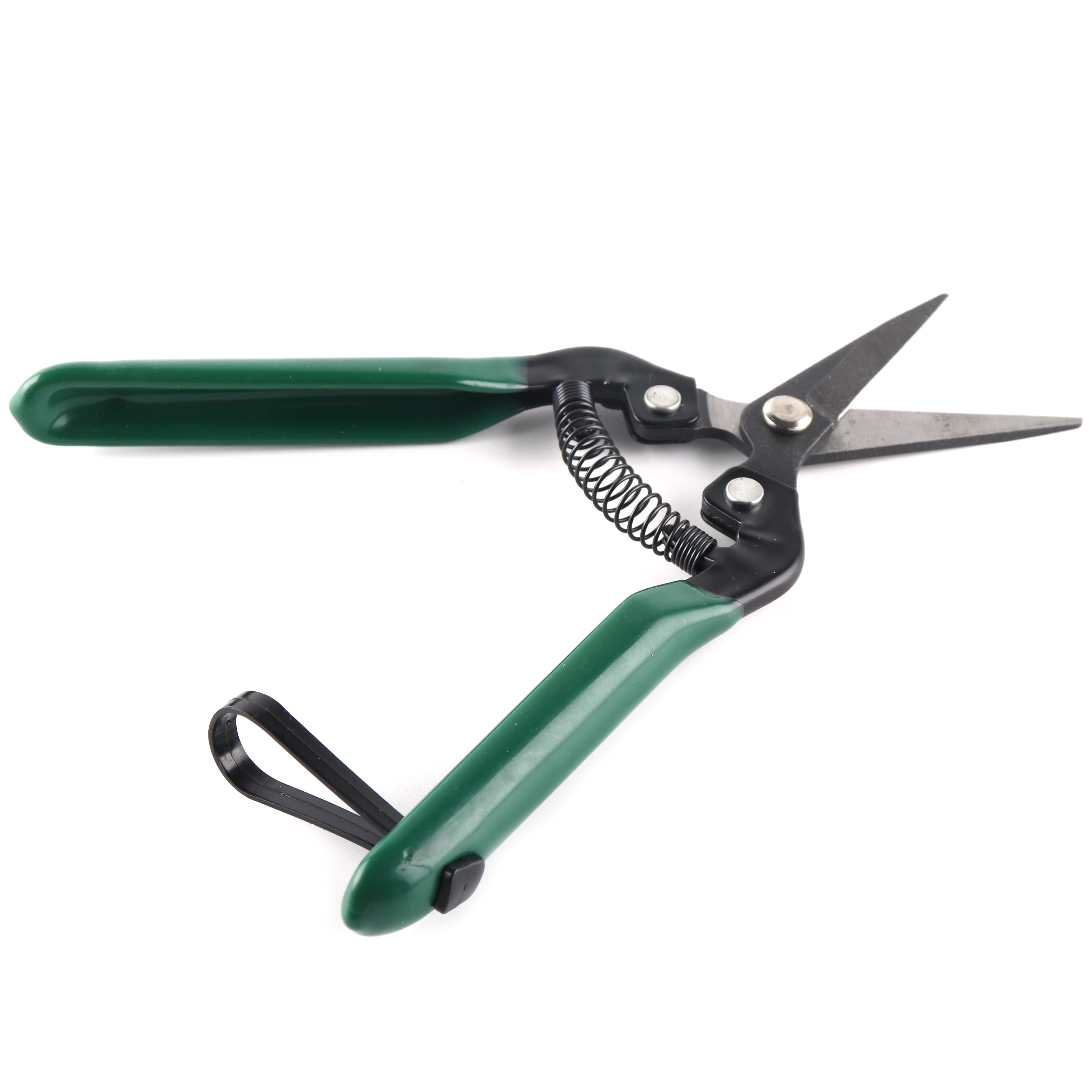 Factory Small Plant Tools Grape Fruit Orchard Grafting Trimming Garden Scissors for Flower Iron Powder Coating Rubber 10 Pcs