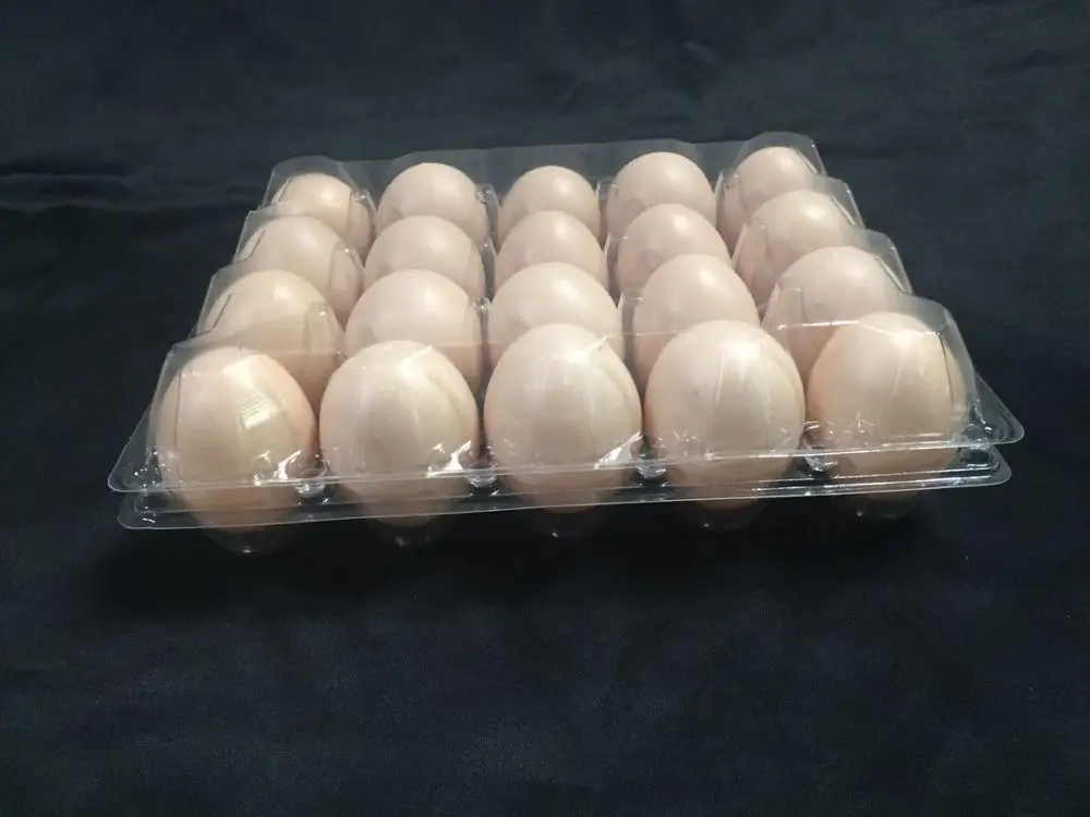 20 eggs transparent chicken egg tray
