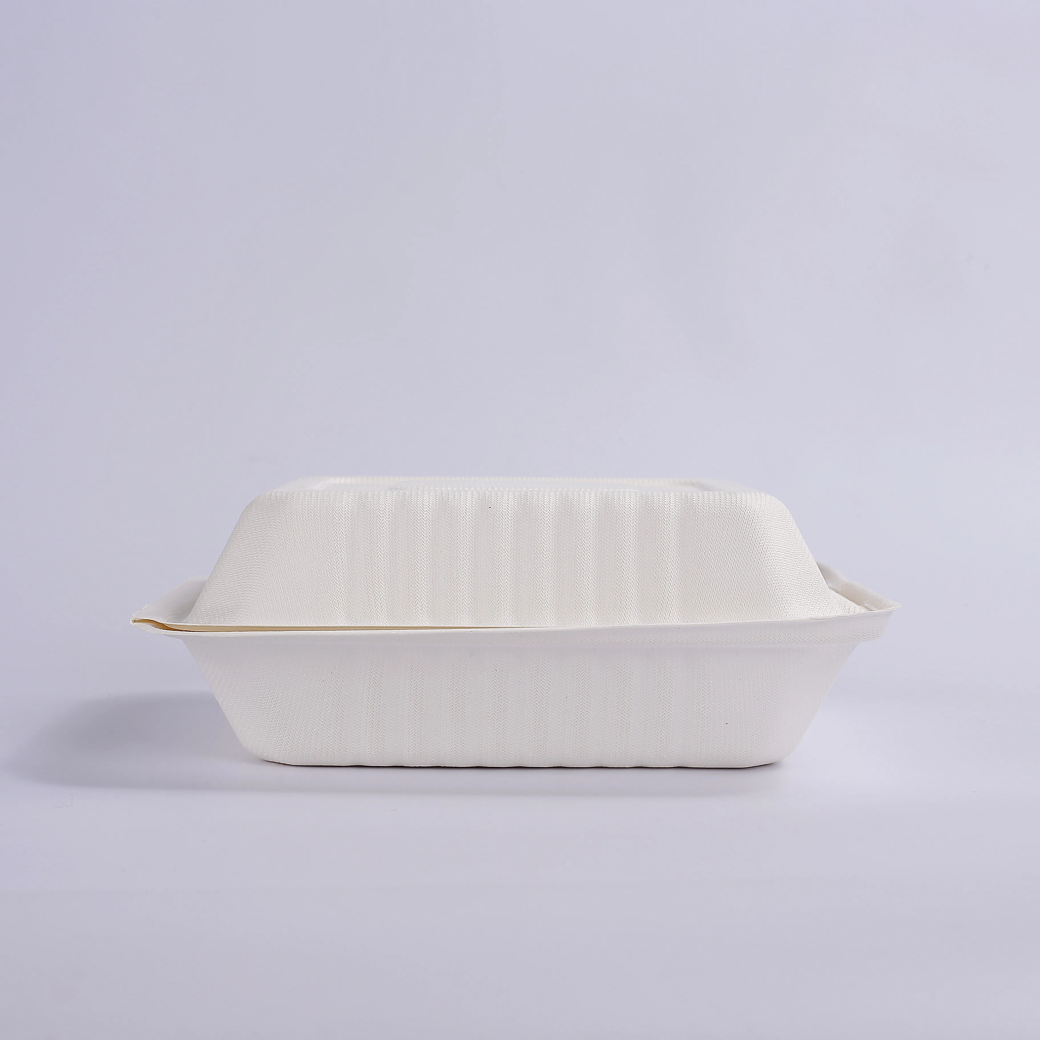 Best Price 8 inch Sugarcane Bagasse Pulp Clamshell Box Takeaway Food Container Paper Lunch Boxes