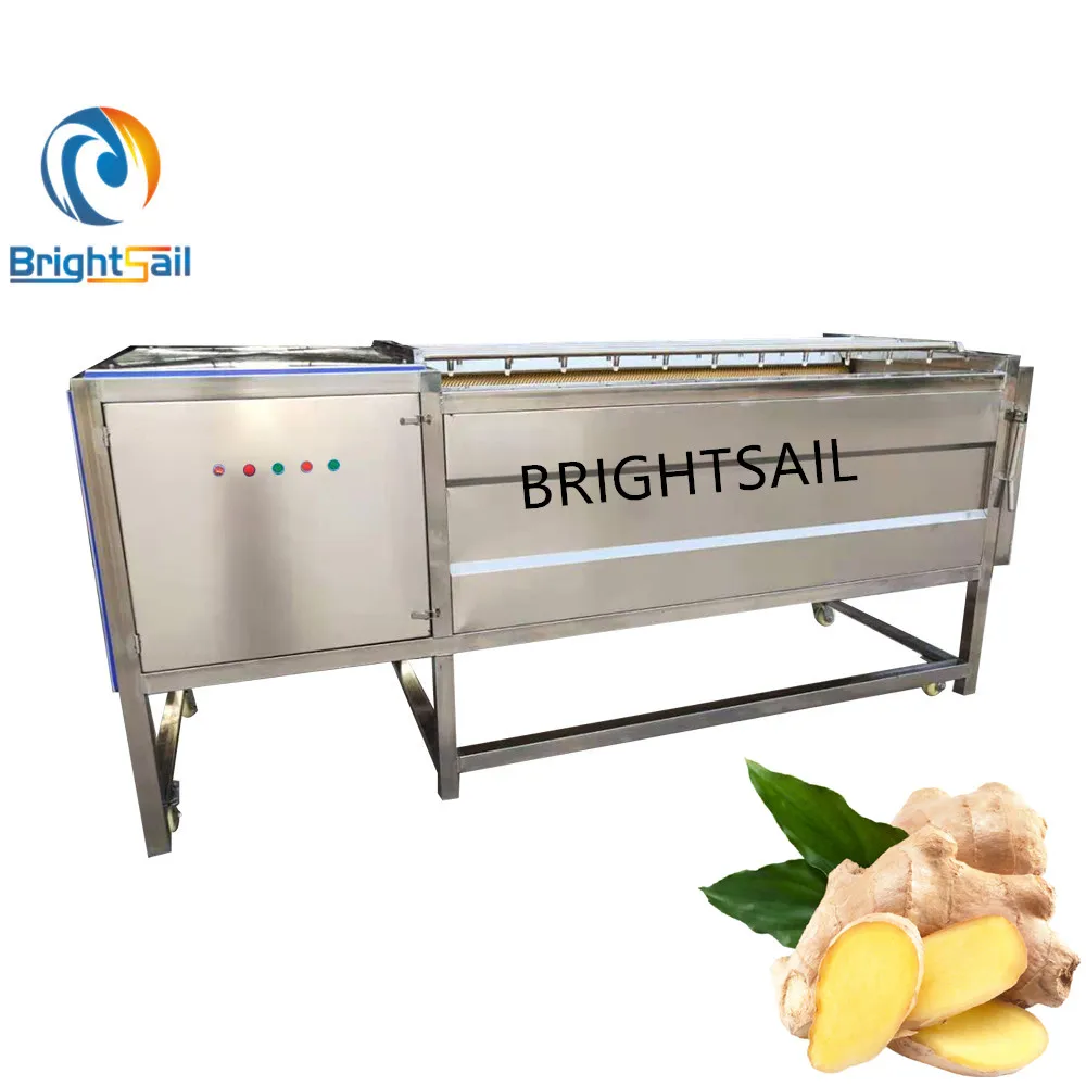 Brightsail cleaning and peeler for ginger fresh ginger washing machine
