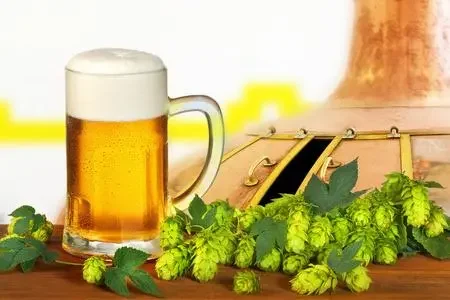 High quality beer beverages flavor liquid hop extract hop juice concentrate flavor  hop  flavor for beer making