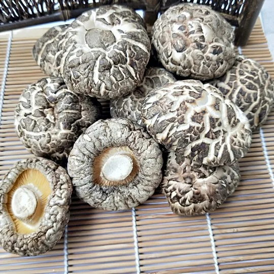 Wholesale Forest Mushroom Organic Dried Shiitake Mushroom Best Dried Shiitake Mushroom