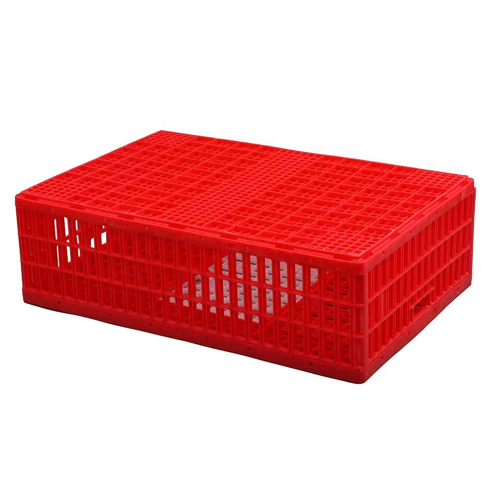 Easy grabbing 16 chickens hold large 900*600*270 mm disassembled foldable plastic poultry crate / transport coop