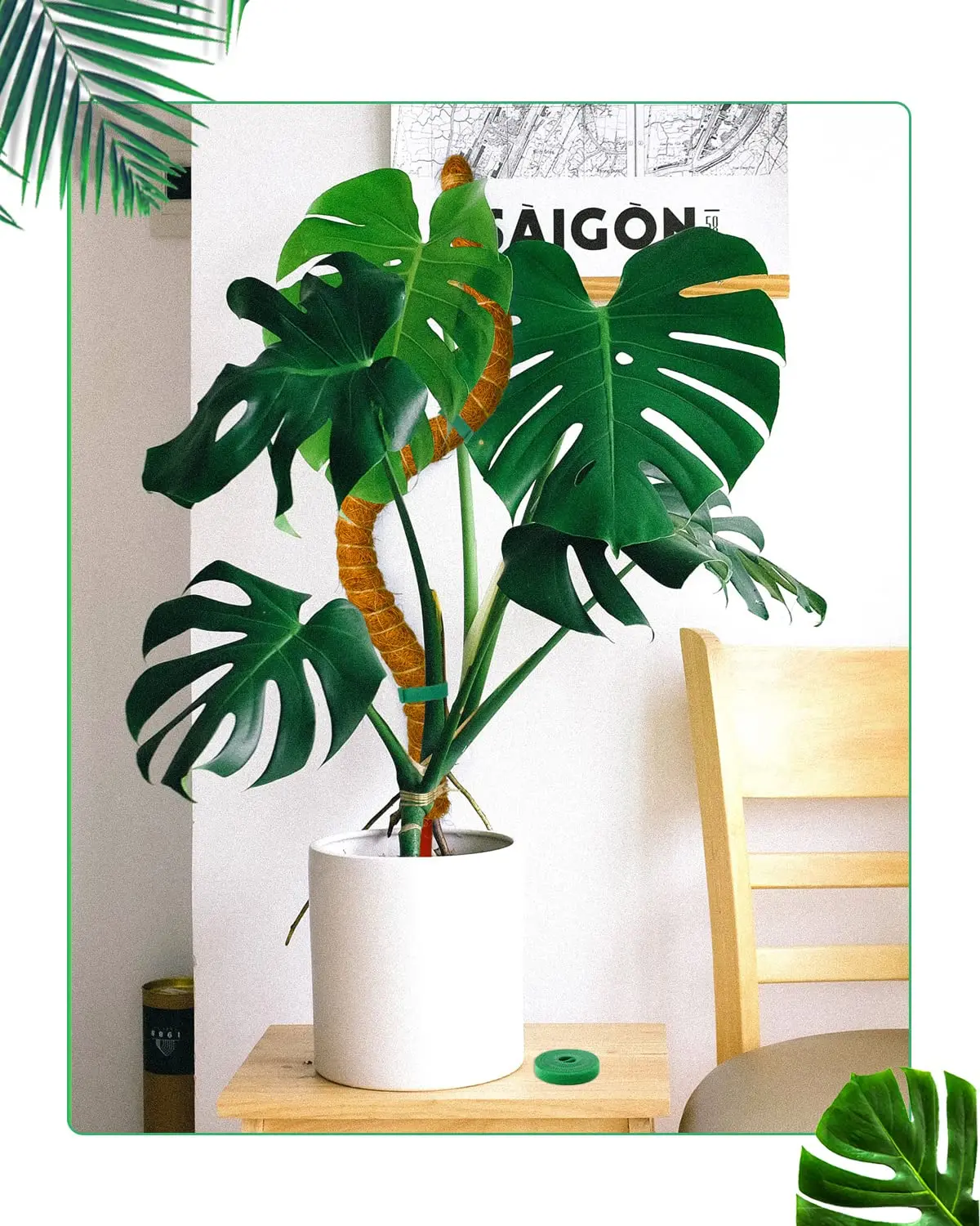 Bendable Moss Pole Monstera Plant Stakes for Indoor Plants Monstera Pole for Climbing Plants to Grow Upwards