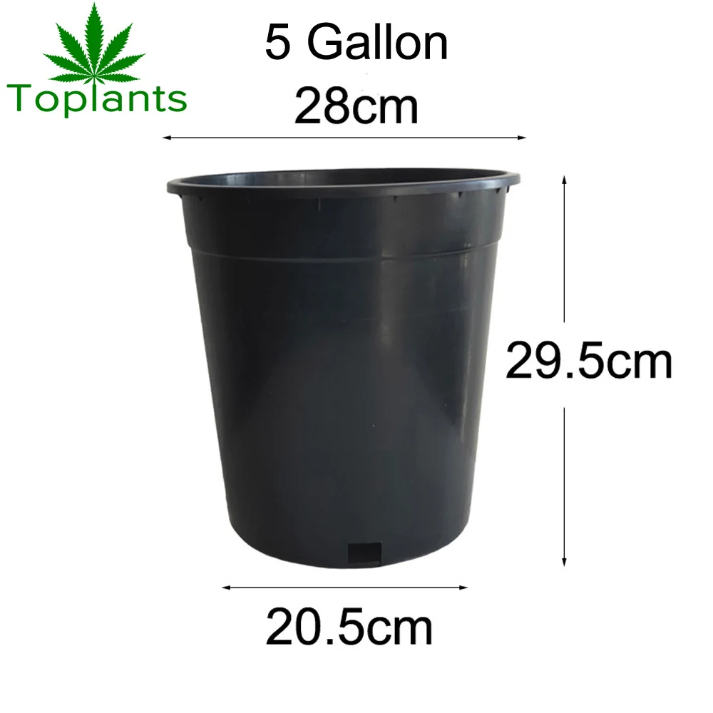 Wholesale plastic soft flower seeding 5 gallon pot nursery plastic pot