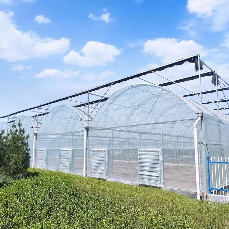 Polycarbonate Greenhouses with Agriculture Equipment and Tools for Agricultural Crops planting