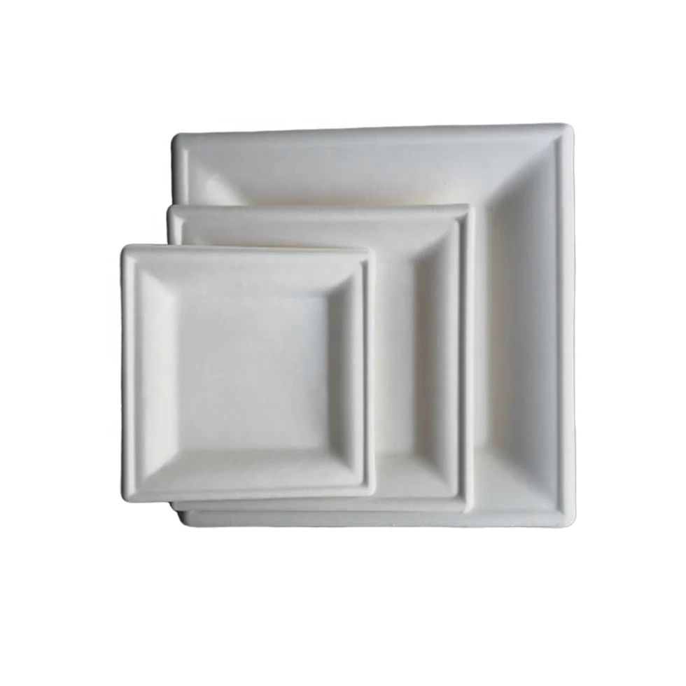 Disposable Paper Square Plates Biodegradable Square Dinner Plates White 10 Inch 6 Inch 8Inch Square Plate Bagasses Paper Pulp