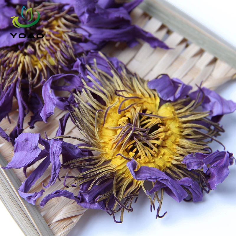 New Harvest Dried Blue Lotus Flower Natural Dried Blue Lotus Petals High Quality Herbal Tea Lan Lian Hua