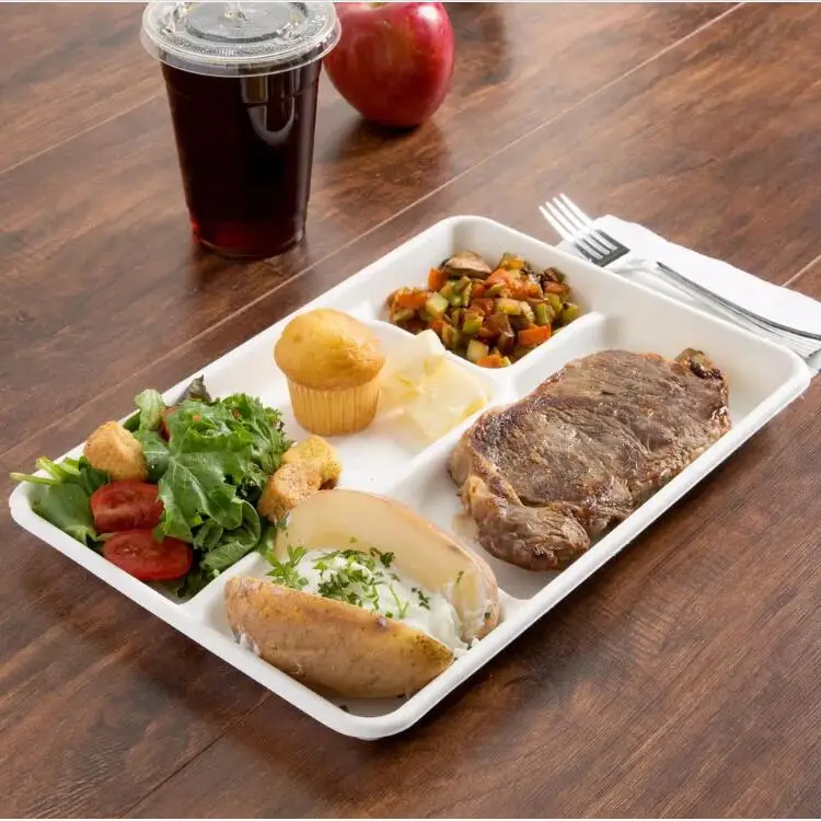 Biodegradable Bagasse Tableware 5 Compartment Food Tray Dishes Plates School Food Container