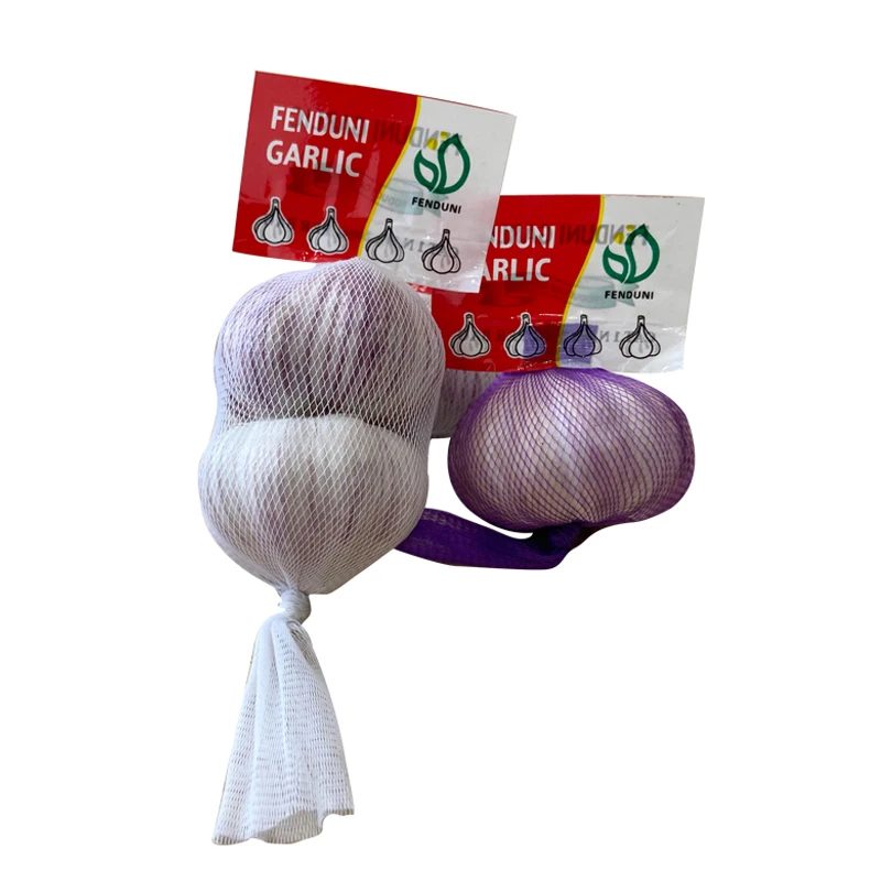 wholesale garlic buyers 10kg/bag in 1x20FCL 5.0CM/5.5CM Export Mozambique/Somalia/Libya/Liberia Cheap Market Price/New Crop/Ajo