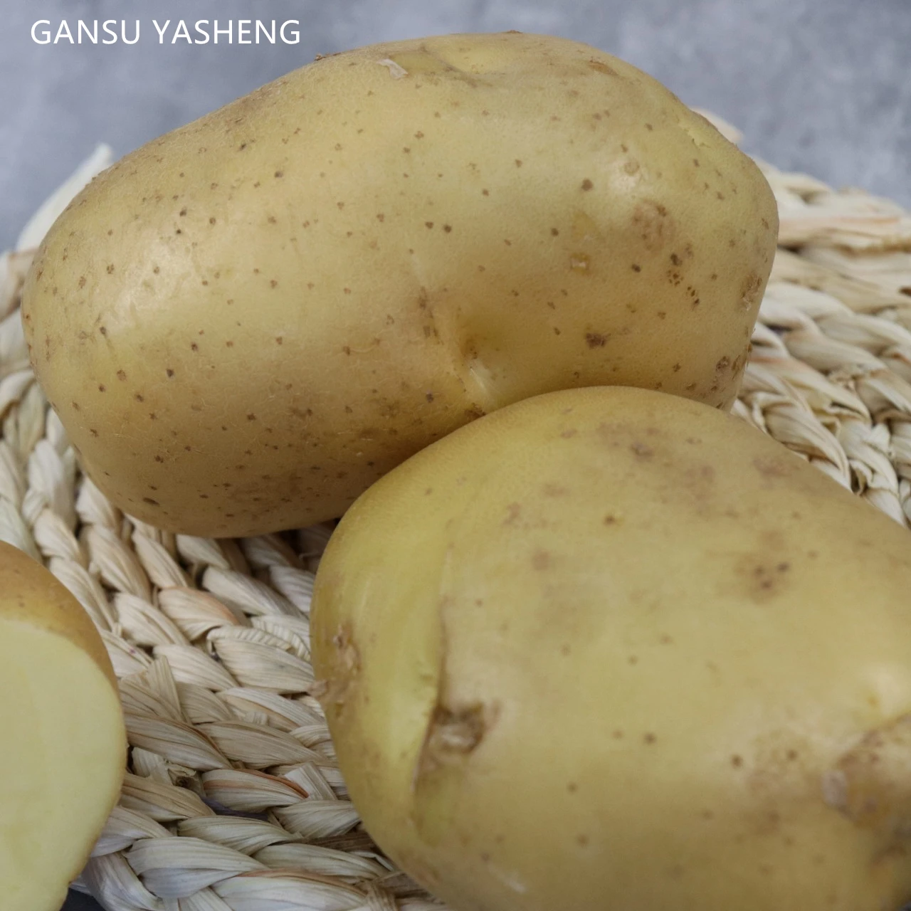 New senson potato export bag mesh style wholesale fresh potatoes with good price