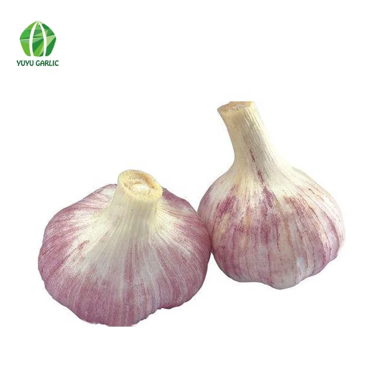 
Wholesale Chinese Natural Bulk Fresh White Garlic Price 
