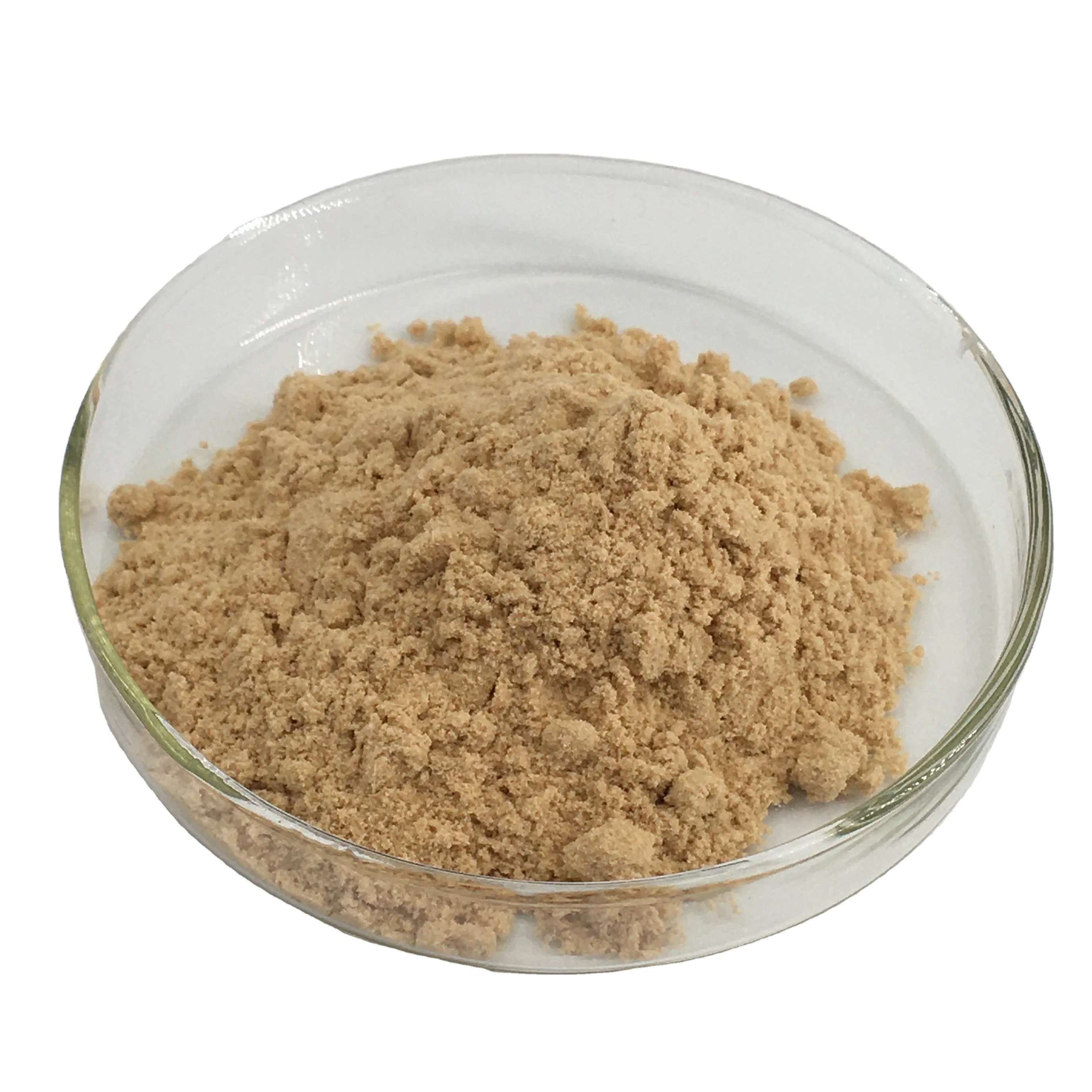 High Enzyme Activity  Glucoamylase  powder GMP certificated factory