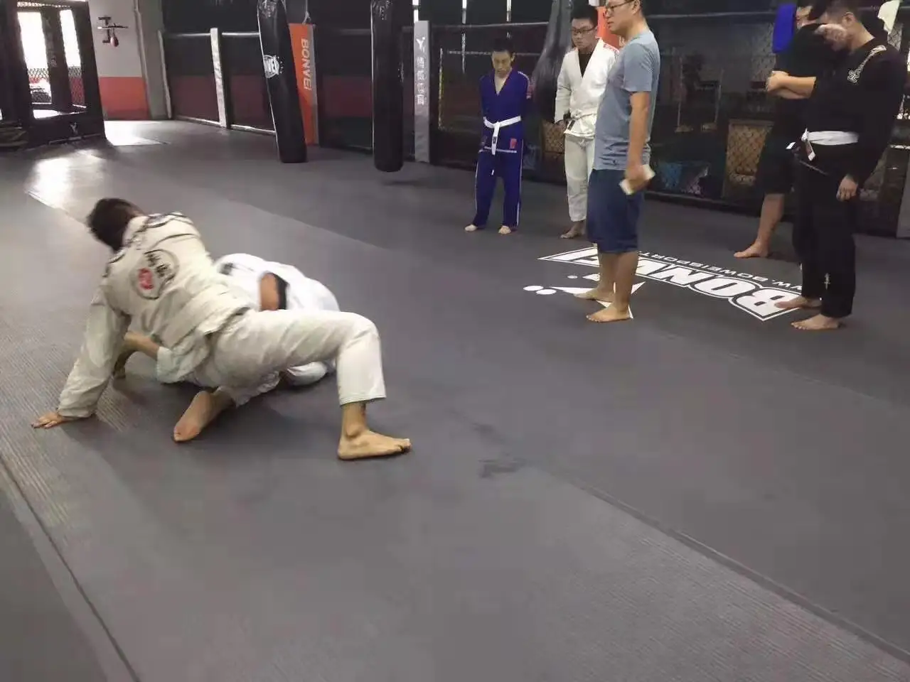 Roll out bjj mats cheap martial arts wrestling mats tatami for judo