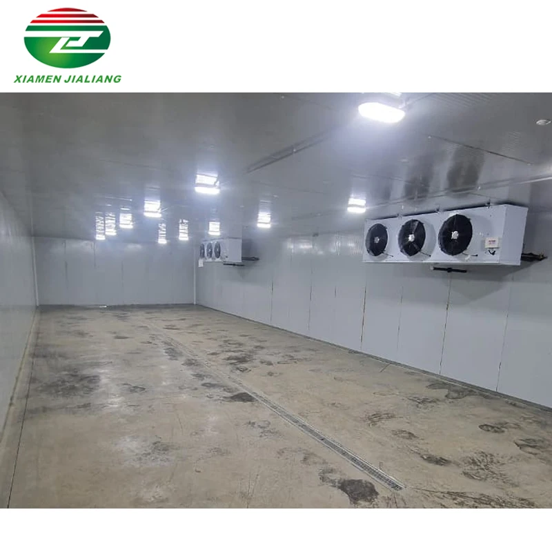 Xiamen Jialiang Walk in  Freezer Cold Room Storage Fish Cold Room 20 Tons Cold Room