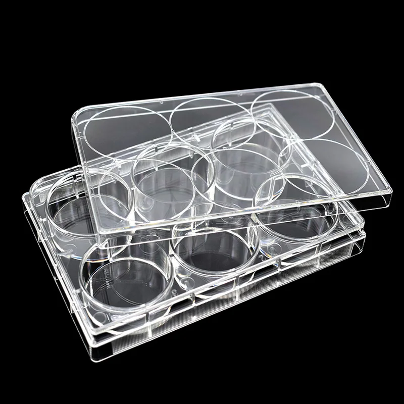 Multi Well tissue culture plate 6 Wells,TC Treated, Sterile Transparent Plastic Polystyrene Plate Tissue Culture Tray