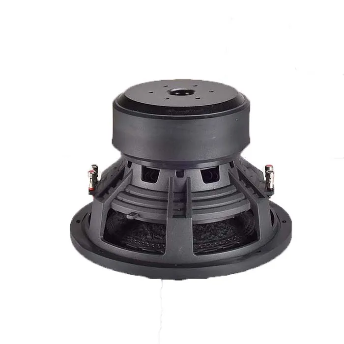 12inch subwoofer 2
