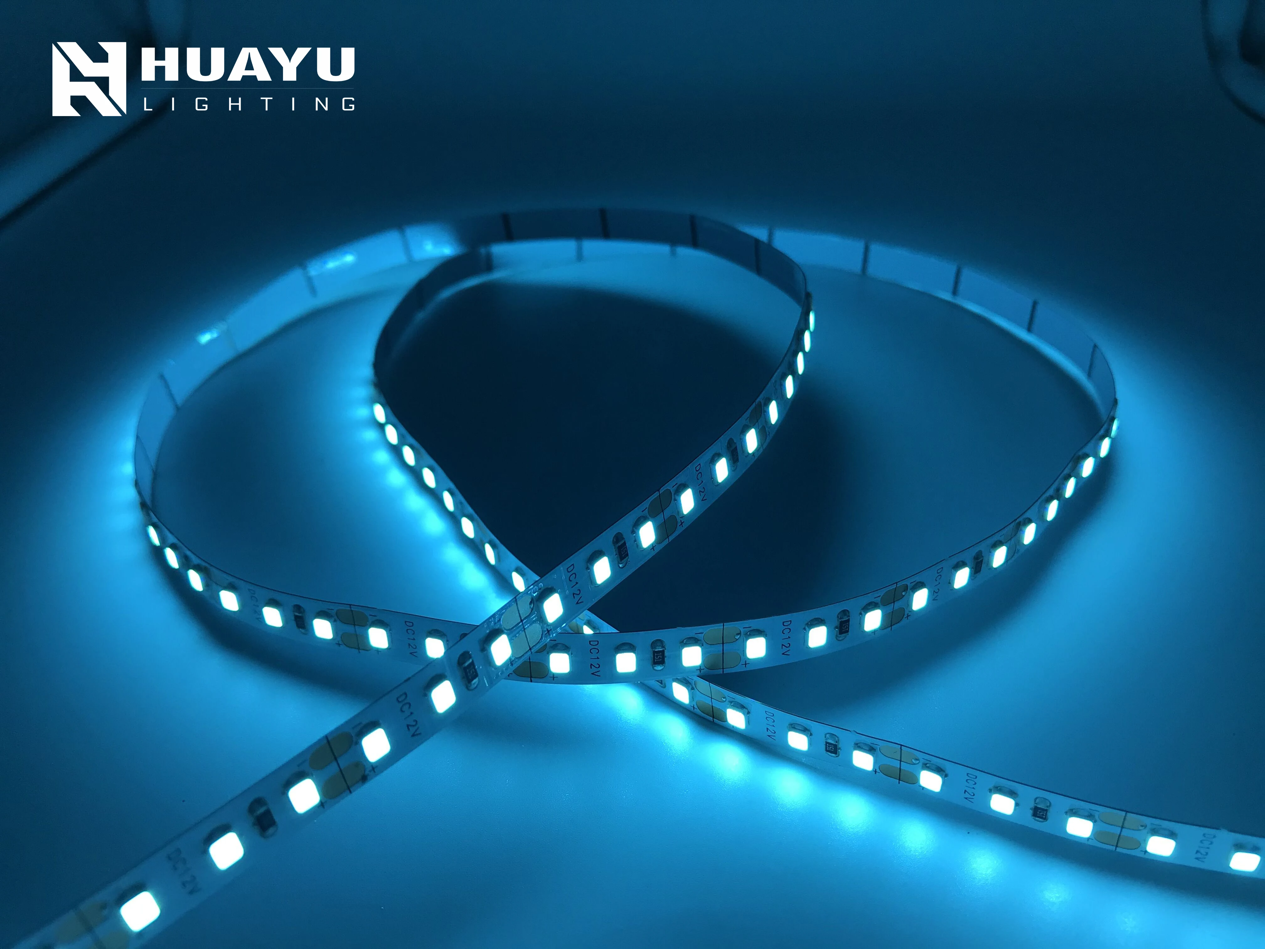 SMD5050 SMD2835 SMD 3528 60leds/m 120leds/m flexible led strip light 12V 24V with sky ice blue color for indoor decoration