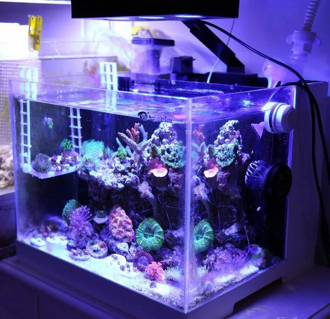 Touch Dimmable A30 Aqua Knight LED Aquarium Lights for LPS SPS Nemo