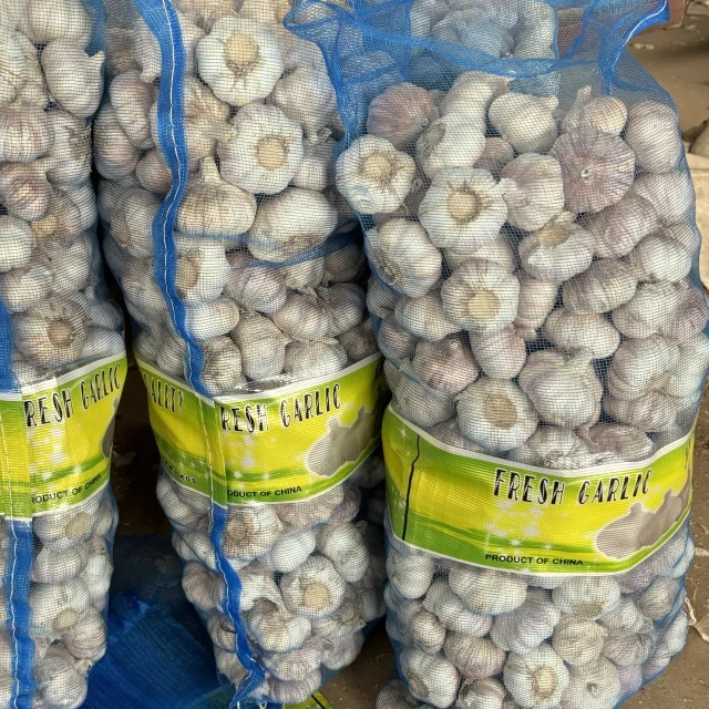 Factory Price Best Quality Bulk New Crop Vegetable From China Export Albania