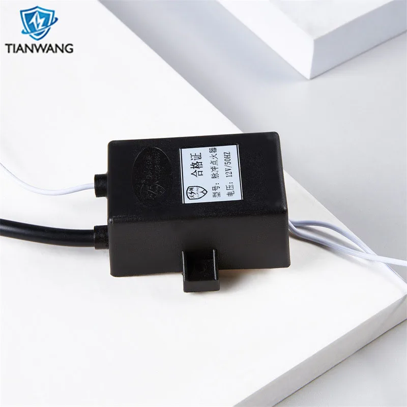 High Quality Hv Transformer Burner Ignition Coil Pulse Igniter Spark Generator For Gas Burners Customizable