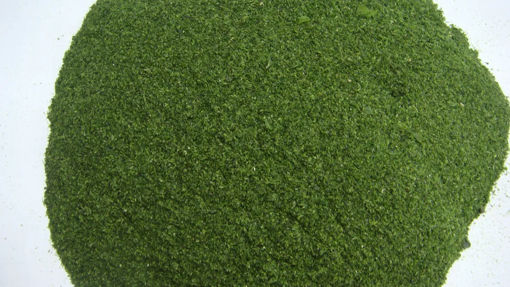 Dried seaweed factory price dried gracilaria  Ulva flakes
