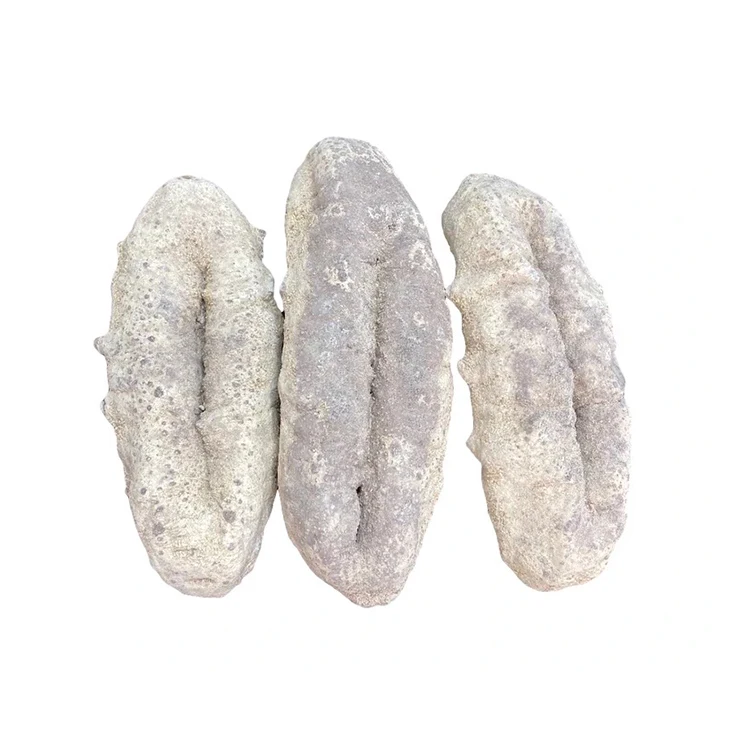 High Quality Wholesale Africa Pig Po Sea Cucumber Price