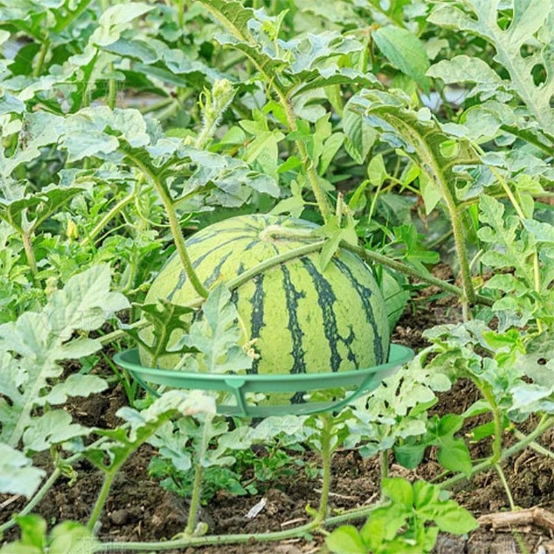 Melon Cradle For Garden Adjustable Strawberry Growing Racks Plant Climbing Rack Vine Pillar Garden Stand Balcony Vegetable Rack