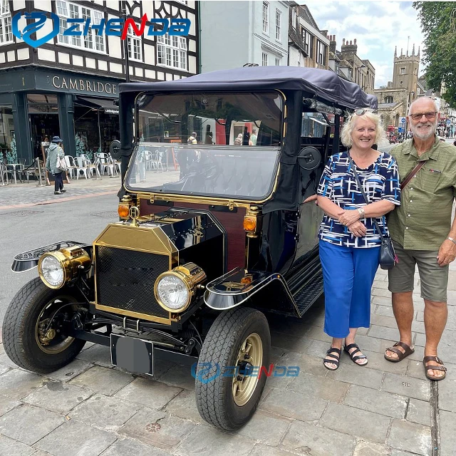 Завод Zhenda экскурсионный автобус 5 человек новая электрическая тележка для гольфа Электрический винтажный автомобиль продажи