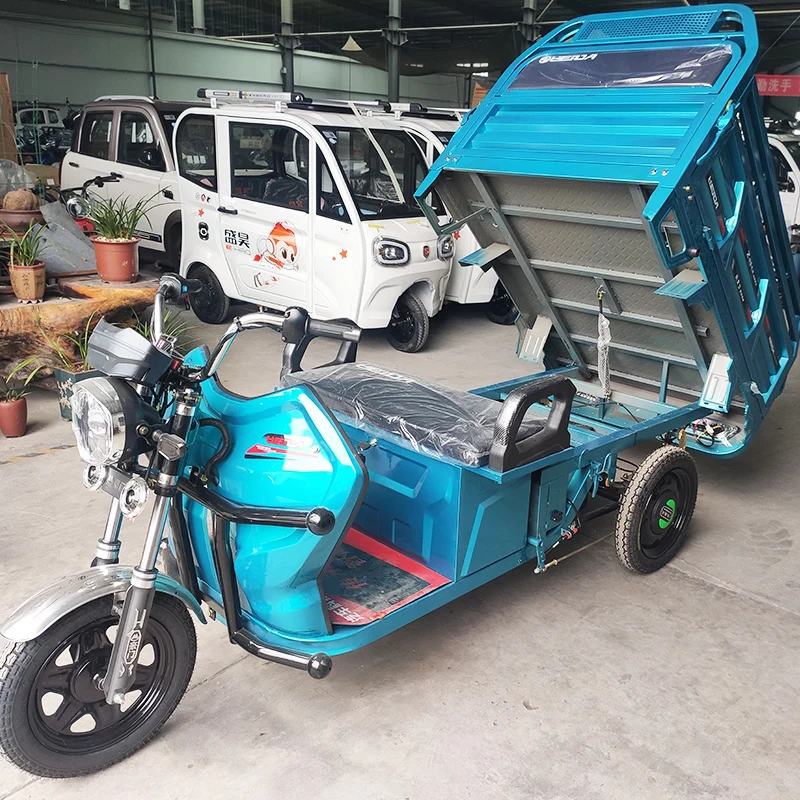 Enclosed Container Express Electric Tricycle Other Tricycles Cargo Bike For Sale